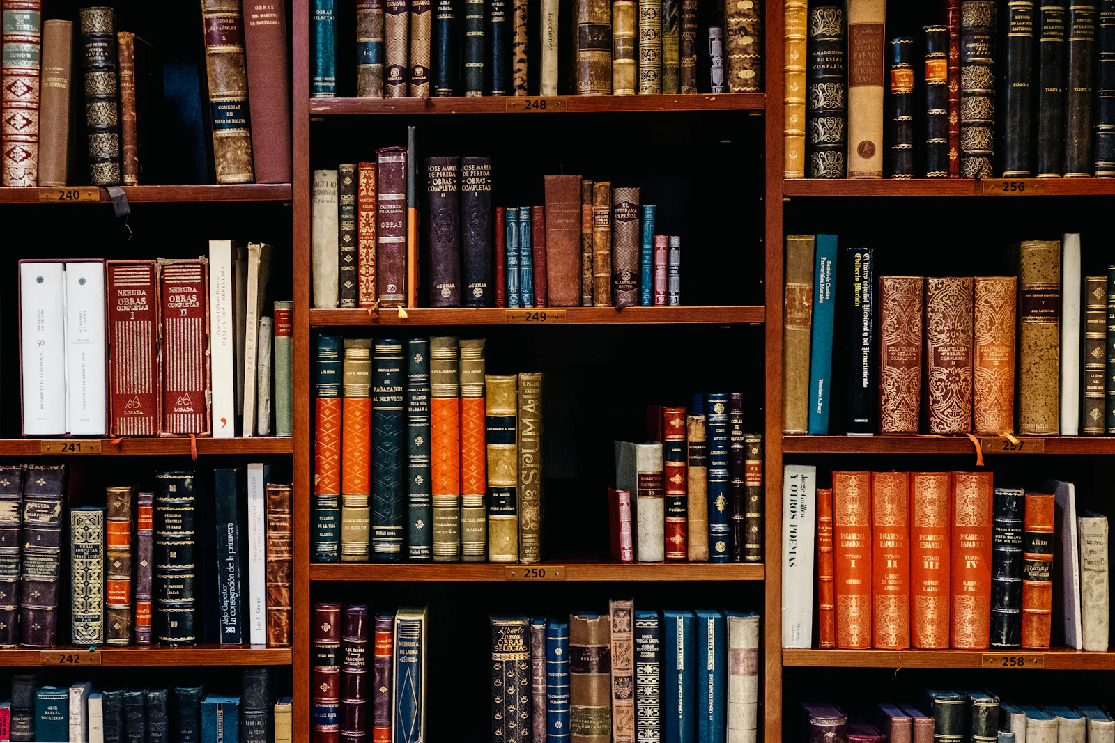 Shelves of legal reference books
